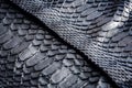 Black snake skin pattern texture. Black reptile. Python leather background. Royalty Free Stock Photo