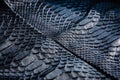 Black snake skin pattern texture. Black reptile. Python leather background. Royalty Free Stock Photo