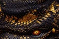 Black snakes.Seamless magical fantasy pattern with snakes and dragons.Scales Royalty Free Stock Photo