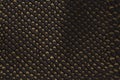 Black snakeskin pattern texture background Royalty Free Stock Photo