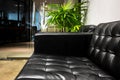 Black sofa Royalty Free Stock Photo