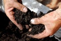 Black soil Royalty Free Stock Photo