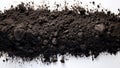 Black soil for gardening agriculture. Dark ground closeup. Textured soil top view isolated on white background. Copy space