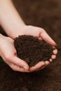 Black soil in hands. Fertile mud, ground composition