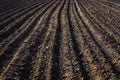 Black soil plowed field. Earth texture Royalty Free Stock Photo