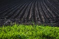 Black soil plowed field. Earth texture Royalty Free Stock Photo