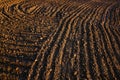 Black soil plowed field. Earth texture Royalty Free Stock Photo