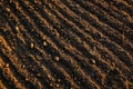 Black soil plowed field. Earth texture Royalty Free Stock Photo