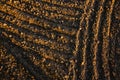 Black soil plowed field. Earth texture Royalty Free Stock Photo