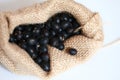 Black soya bean in burlap sack