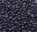 Black soybean Royalty Free Stock Photo