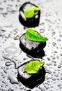 Black spa stones with green leafs Royalty Free Stock Photo