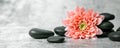 Black spa stones and pink flower on white marble background. beauty treatment concept. banner Royalty Free Stock Photo