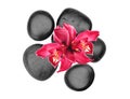 Black spa stones and pink orchid flower isolated on white Royalty Free Stock Photo