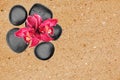 Black spa stones and pink orchid flower over yellow sand Royalty Free Stock Photo
