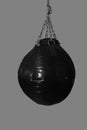 Black speed boxing ball bag hanging on metal chains