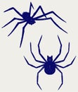Black spider. Doodle style Royalty Free Stock Photo