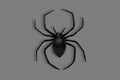 Black spider on grey background Royalty Free Stock Photo