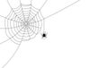 Spider hanging down from spiderweb