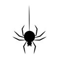 Black spider hanging on a thread. Halloween Royalty Free Stock Photo