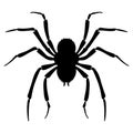 Black spider icon Royalty Free Stock Photo