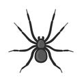 Black Spider Icon on White Background. Vector Royalty Free Stock Photo
