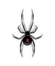 Black spider isolated on white background. Vector object.