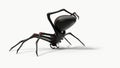 Black spider preparing for web making. suitable for horror, halloween, arachnid and insect themes. Royalty Free Stock Photo