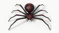 Black spider with red skin details.