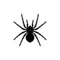 Black spider silhouette isolated on white Royalty Free Stock Photo