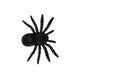 Black spider toy Royalty Free Stock Photo