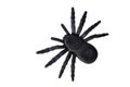 black spider toy Royalty Free Stock Photo