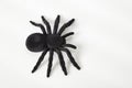 black spider toy Royalty Free Stock Photo