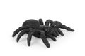 Black spider toy isolated on white. Comic horror for Halloween Royalty Free Stock Photo
