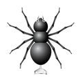 Black spider toy with key Royalty Free Stock Photo