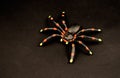 Black spider toy stock images Royalty Free Stock Photo