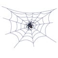 Black Big Spider on Web Royalty Free Stock Photo