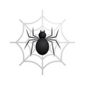 Black spider in web vector illustration isolated on white background. Suitable for t-shirt design or other design project Royalty Free Stock Photo