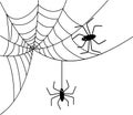 black spider web on white background, vector, halloween symbol