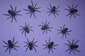 Black spiders on a purple background, color background and silhouettes of spiders, festive scary background