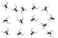 Many Black Spiders on a White Background