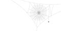 Black spiderweb with spider hanging down