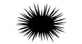 Black Spiky Burst Shape Isolated on White Royalty Free Stock Photo