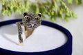 Black spinel diamond silver ring in the form of a cat's head. Royalty Free Stock Photo