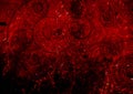 Black spiral on red cobwebs wall Royalty Free Stock Photo