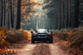 A black sports car speeds along a winding forest road surrounded by lush green trees, An adventurous sports car going through a