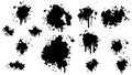 Black Spray Different Set Paint Blot Element Vector Design Object Brush Grunge