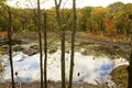 Black Spruce Pond in Goodwin State Forest in Connecticut Royalty Free Stock Photo