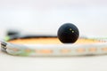 Black squash ball on rackat close up