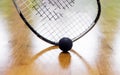 Black squash ball and tennis racket in tennis club